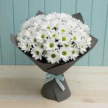 Букет цветов из:  Хризантемы #REPLACE_PRED# Озерске