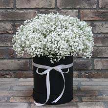 Цветочная композиция из Гипсофила в шляпной коробке #REPLACE_PRED# Озерске